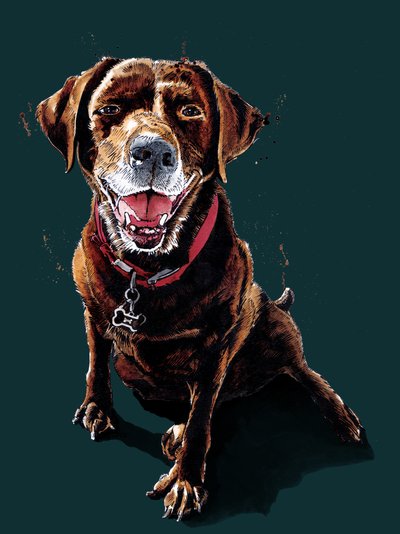 Nessa The ChocLab en Deep Cyan, 2020 de Mike Davis