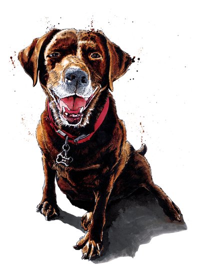 Nessa The ChocLab en Blanco, 2020 de Mike Davis