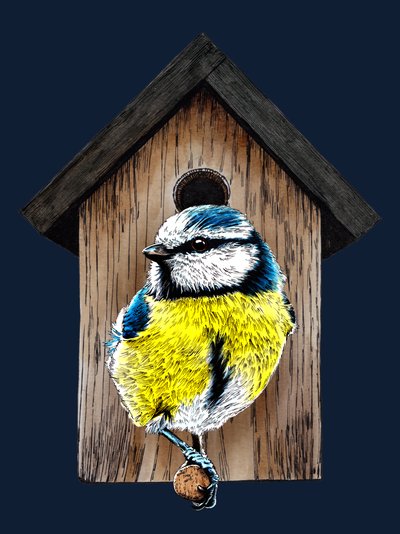 Nueva casa azul Tit sobre azul noche, 2020 de Mike Davis
