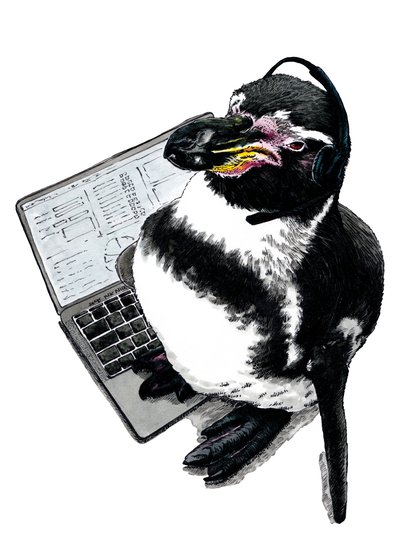 Nuevo trabajo Pingüino en Blanco, 2020 de Mike Davis