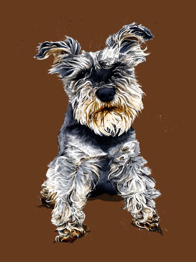 Ollie The Schnauzer en Burnt Orange, 2020 de Mike Davis
