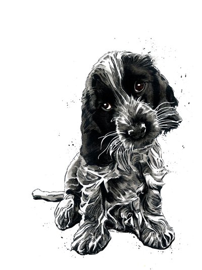 Rosie The Cocker Spaniel en Blanco, 2019 de Mike Davis