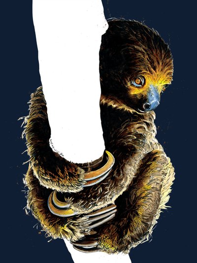 Talita The Sloth en Midnight Blue, 2020 de Mike Davis