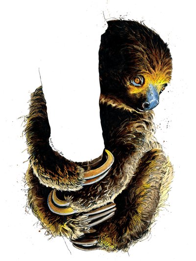 Talita The Sloth en Blanco, 2019 de Mike Davis