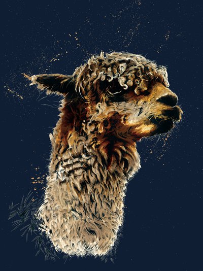 La alpaca en azul noche, 2020 de Mike Davis