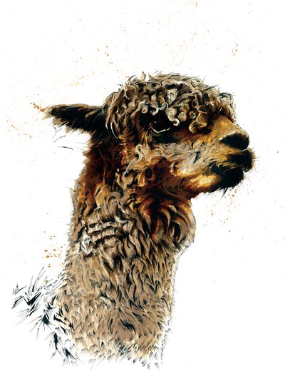 La alpaca en blanco, 2019 de Mike Davis