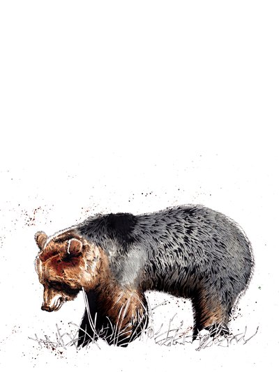 El Oso en Blanco, 2020 de Mike Davis