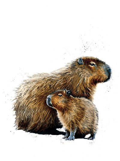 Los Capibaras en Blanco, 2019 de Mike Davis