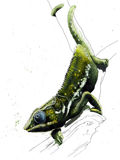 El camaleón en blanco, 2019 de Mike Davis