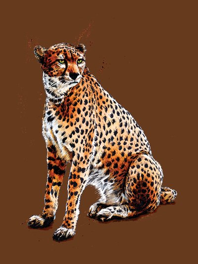 El guepardo de la naranja quemada, 2020 de Mike Davis