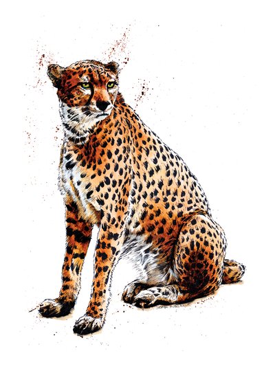 El guepardo en blanco, 2020 de Mike Davis