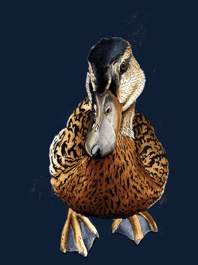 El pato en el azul noche, 2020 de Mike Davis