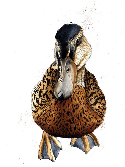 El Pato en Blanco, 2019 de Mike Davis