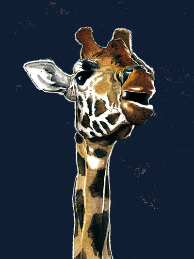La jirafa en el azul noche, 2019 de Mike Davis