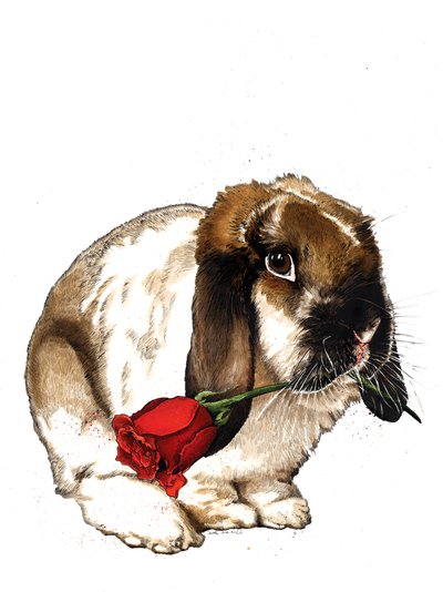 El conejo del amor en blanco, 2020 de Mike Davis