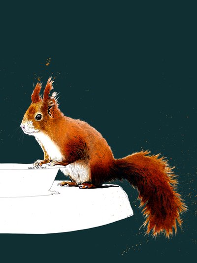 La ardilla roja en Deep Cyan, 2020 de Mike Davis