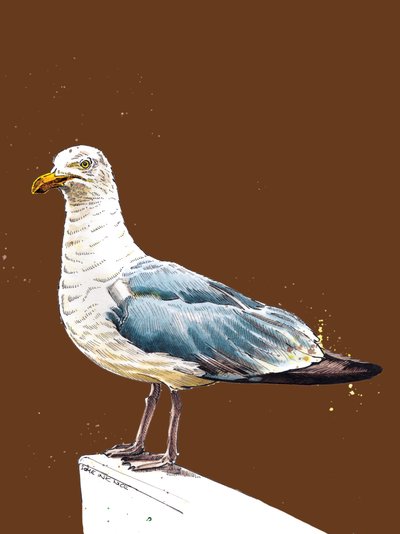 La gaviota de la naranja quemada, 2020 de Mike Davis