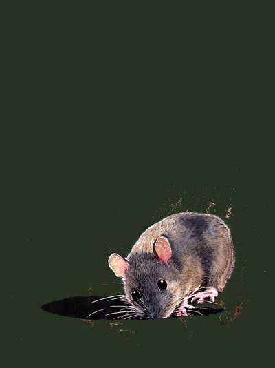 The Woodmouse on Forest Green, 2020 de Mike Davis