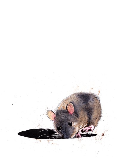 The Woodmouse en Blanco, 2019 de Mike Davis