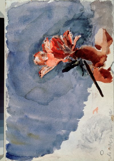 La azalea roja (Azalea roja) - Obra de arte de Mikhail Alexandrovich Vrubel (Vrubel) (1856-1910) acuarela sobre papel de Mikhail Aleksandrovich Vrubel