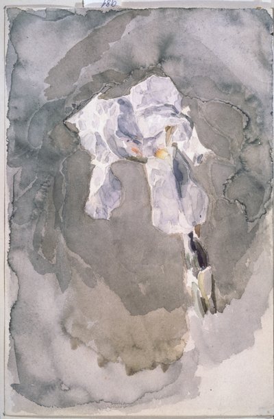 Iris blanco de Mikhail Aleksandrovich Vrubel