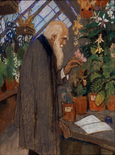 ""Retrato del científico Charles Robert Darwin (1809-1882) examinando plantas en el invernadero Langdon-Down"" Pintura de Mikhail Dmitrievich Ezuchevsky (1880-1928) 1920 Museo Estatal Darwin, Moscú de Mikhail Dmitrievich Ezuchevsky