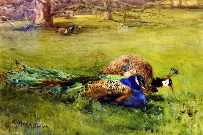 Pavos reales de Mildred Anne Butler