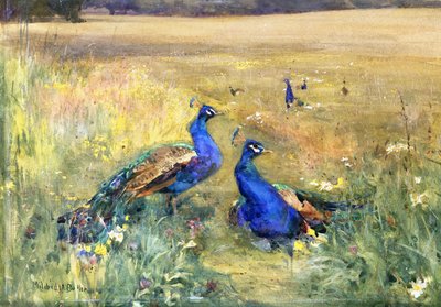 Pavos reales en un campo de Mildred Anne Butler
