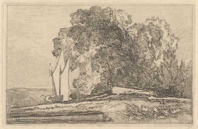 Estudio de los árboles a orillas del Yare de Miles Edmund Cotman