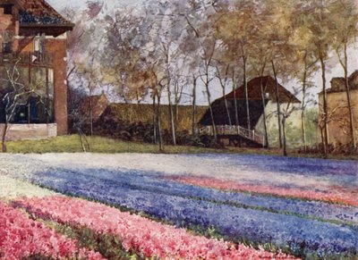 Un jardín holandés en primavera de Mima Nixon