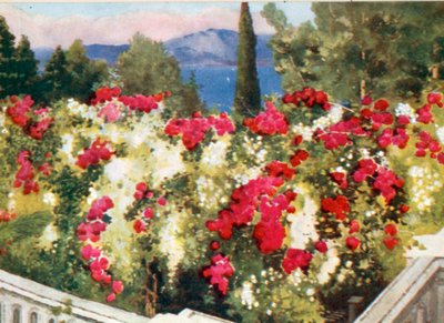 La Pérgola de Rosas, el Achilleion, Corfú de Mima Nixon