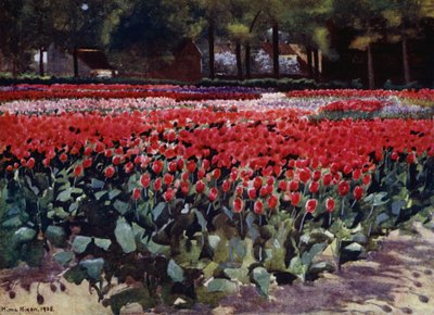 Tulipanes en su Esplendor de Mima Nixon