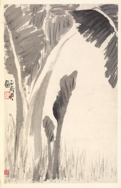 Plantas de plátano, 1788 de Min Zhen