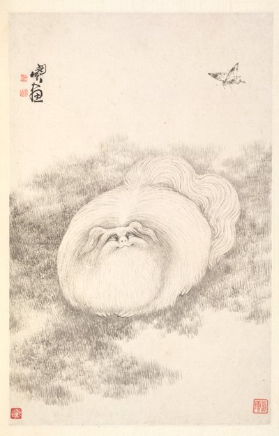 Cat and Butterfly de Min Zhen