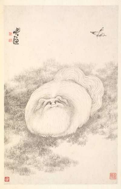 Gato y Mariposa, 1788 de Min Zhen