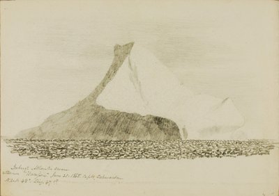 Iceberg de Miner Kilbourne Kellogg
