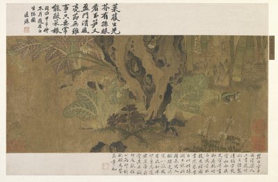 Bambú, rana e insectos de Ming Dynasty Chinese School