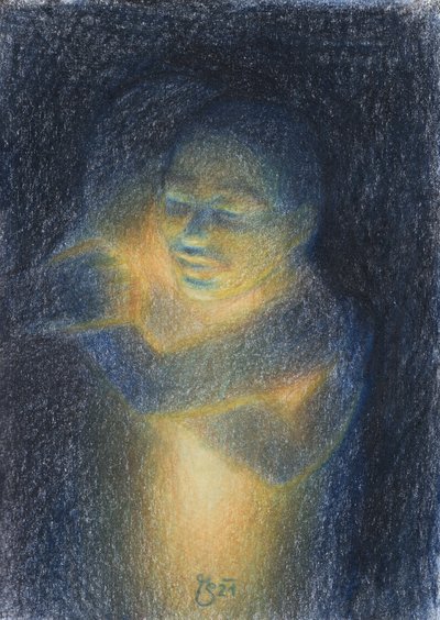 El niño de la luz de Mirjam Schrei
