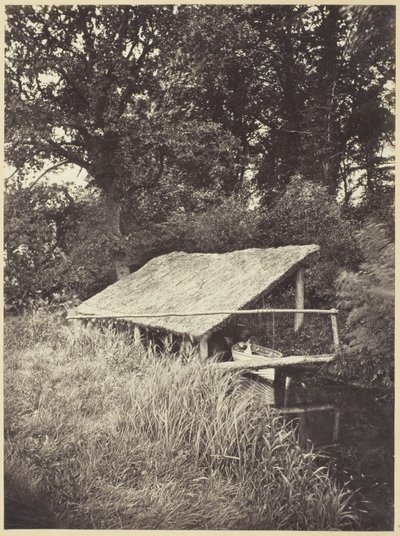 Casa del Barco de Miss T. Powell