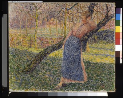 Mujer en un prado (Femme Dans Un Verger) (óleo sobre lienzo) de Modest Huys