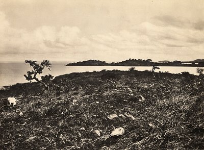 Construyendo un Imperio en la era fascista: Lago Tana. Etiopía, 09/05/1936 (foto en b/n) de Modestino Baldinetti