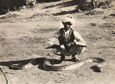 Construyendo un Imperio en la era fascista: indígena con una pitón, 09/05/1936 de Modestino Baldinetti