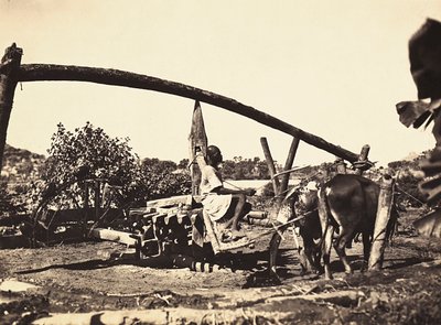 Construyendo un Imperio en la era fascista: Noria indígena, 09/05/1936 de Modestino Baldinetti