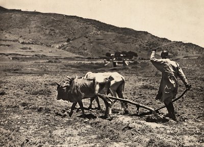 Construyendo un Imperio en la era fascista: arando en el altiplano, 09/05/1936 de Modestino Baldinetti