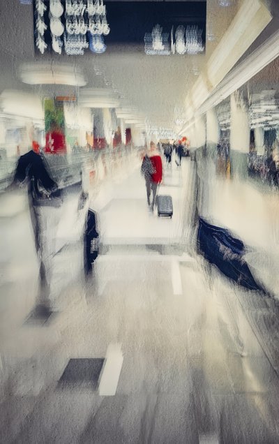 Resumen: Flujo aeroportuario de Molly Fu APA