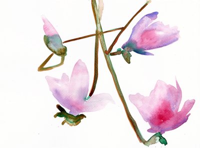 Magnolia 1, 2022 (acuarela sobre papel Langton de 300 g/m² prensado en frío) de Monica Perez Vega