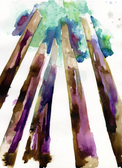 Sequoia 3, 2021 (acuarela sobre papel Langton de 300 g/m² prensado en frío) de Monica Perez Vega