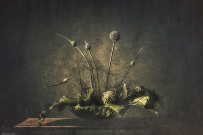 Naturaleza muerta botánica oscura de Monique van Velzen