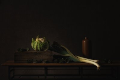  de Monique van Velzen