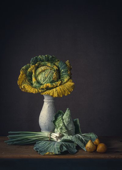  de Monique van Velzen